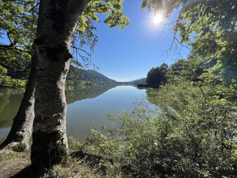Unsere Elfte Location (24. August 2022 Campingplatz Demmelhof)