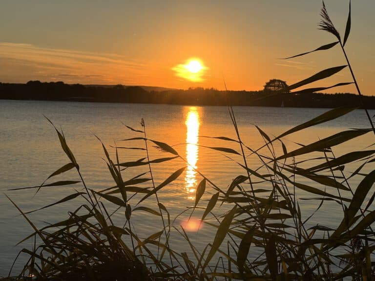Unsere Zwölfte Location (02.09.2022 Steinberger See in Wackersberg)