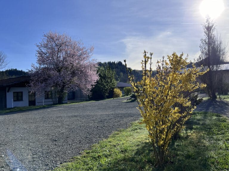 Allgäu-Camping am Alpsee nach Kontrolltermin bei Goldschmitt
